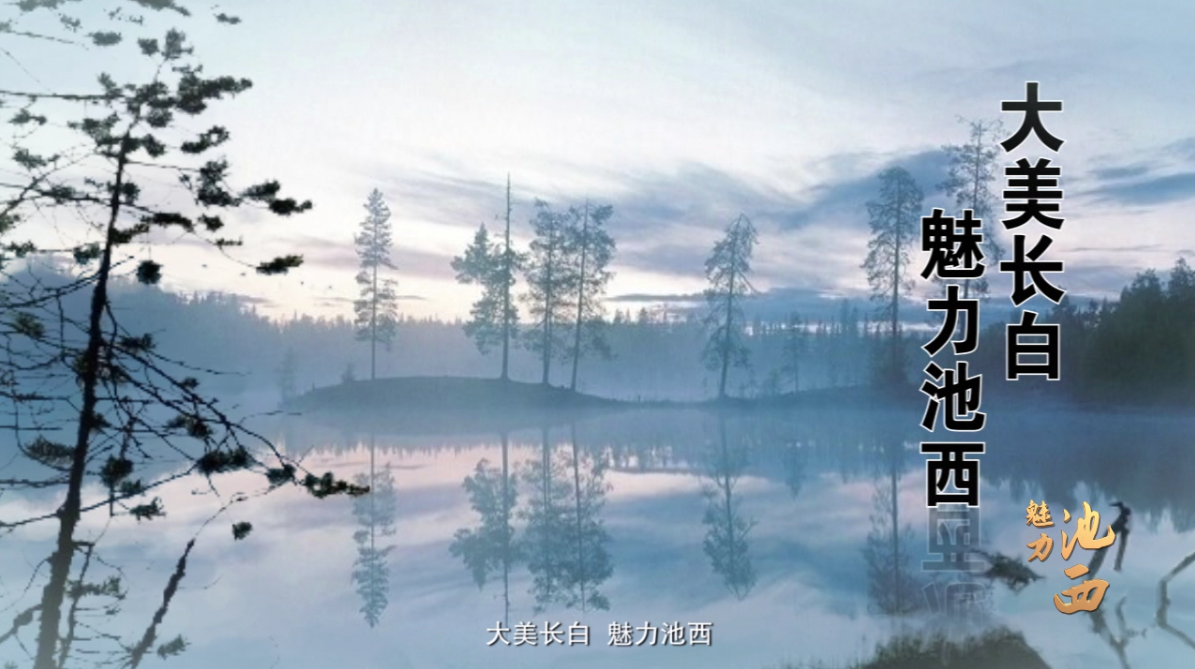 &#20113;&#39030;&#38598;&#22242;&#51;&#49;&#49;&#56;