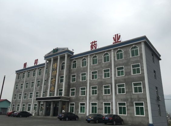 &#20113;&#39030;&#38598;&#22242;&#51;&#49;&#49;&#56;